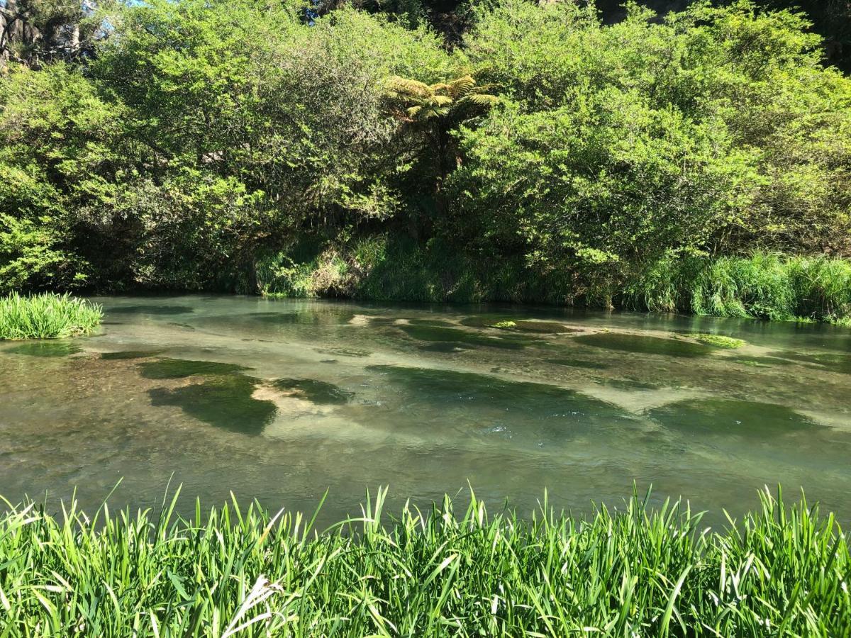 A1 Troutfishing At Tirau Villa Dış mekan fotoğraf
